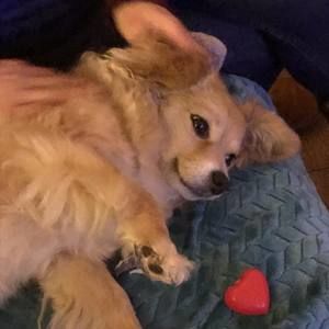 Meet your Posher, Carolina